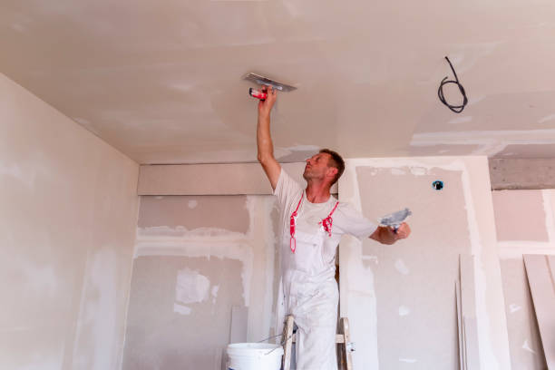 Best Eco-Friendly and Low-VOC Painting  in USA